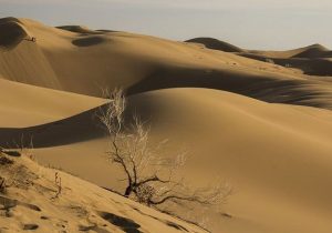 ۸ نفر در کویر دامغان گم شدند