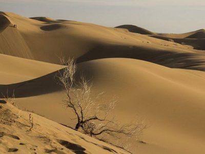 ۸ نفر در کویر دامغان گم شدند