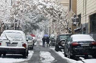 بارش برف و باران در این استان‌ها غوغا می‌کند