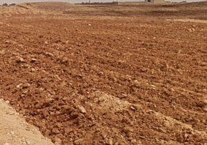 خرابکاری عجیب کشاورز خوزستانی، فاجعه به بار آورد