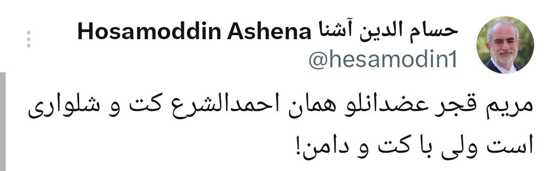 شباهت مریم رجوی و الجولانی از نگاه مشاور روحانی+ عکس