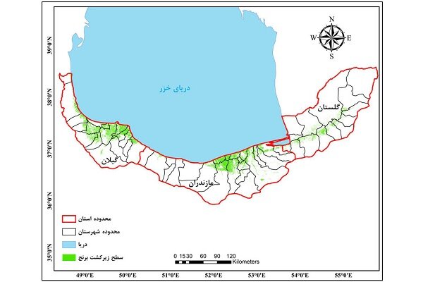 کشت دوم برنج در مازندران آری یا نه/ کاهش یک متری ذخایر آبی  |